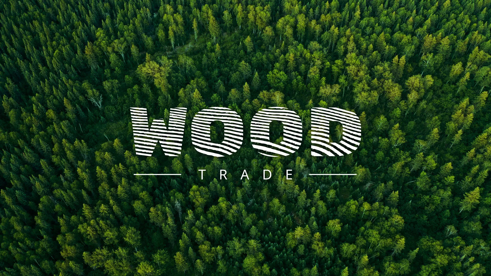 Разработка интернет-магазина компании «Wood Trade» в Луховицах